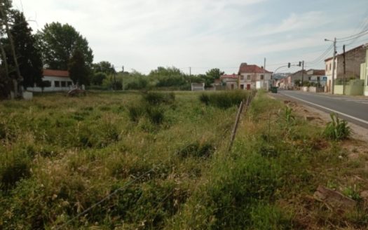 Quinta com 20.000 m² e Ruína em Abrantes | Potencial de Reconstrução e Investimento