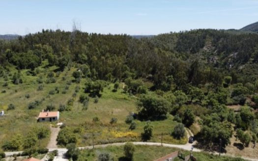 Terreno com 8.040 m² na Serra de Monchique | Vista para a Picota | Acesso Fácil