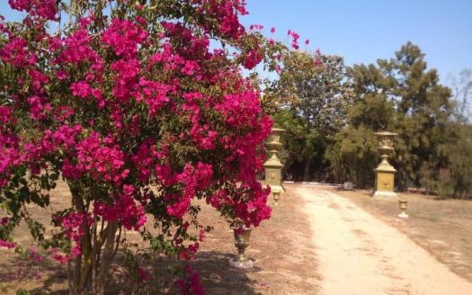 Propriedade com 10.600 m² em Alporchinhos, Lagoa – Algarve | Zona Nobre a 300 m da Praia