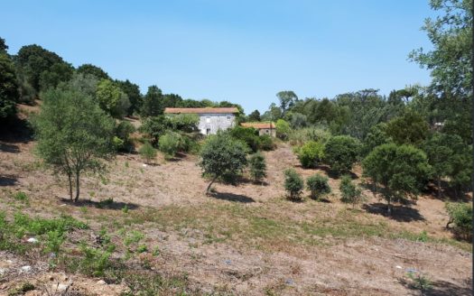 Terreno Urbano com 10.000 m² em Sintra | Potencial para Projeto Residencial