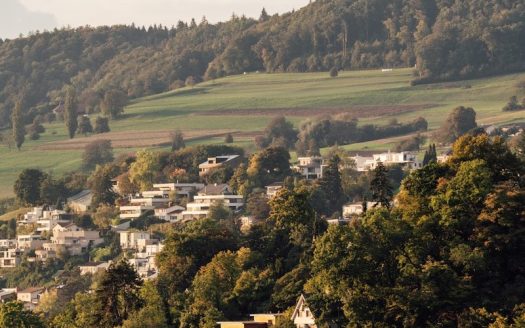 Houses nestled on a tree-covered hillside under a clear sky.