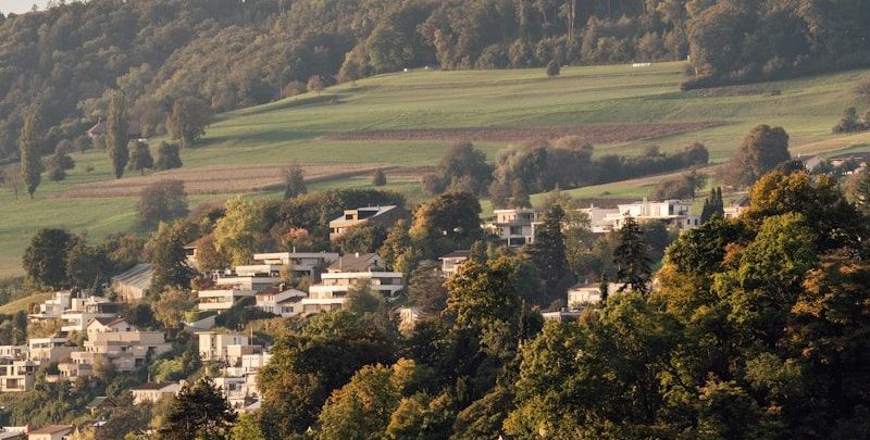 Houses nestled on a tree-covered hillside under a clear sky.