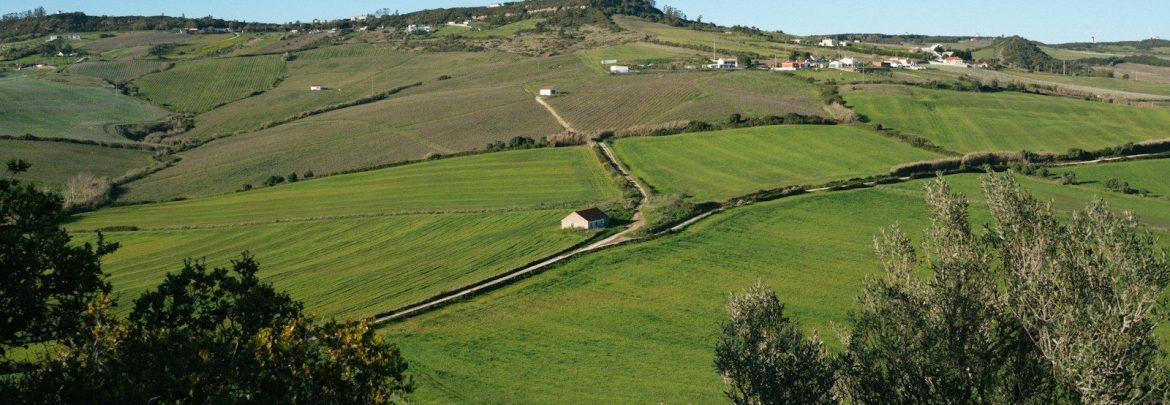 Colinas verdes sob céu azul, imagem ilustrativa de terrenos e paisagem rural