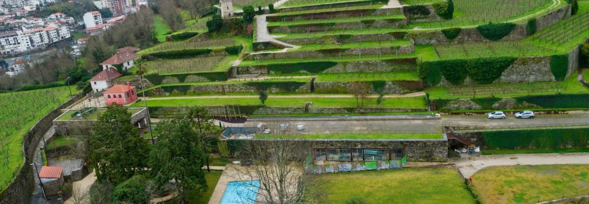Terraced vineyards on a hillside with a swimming pool
